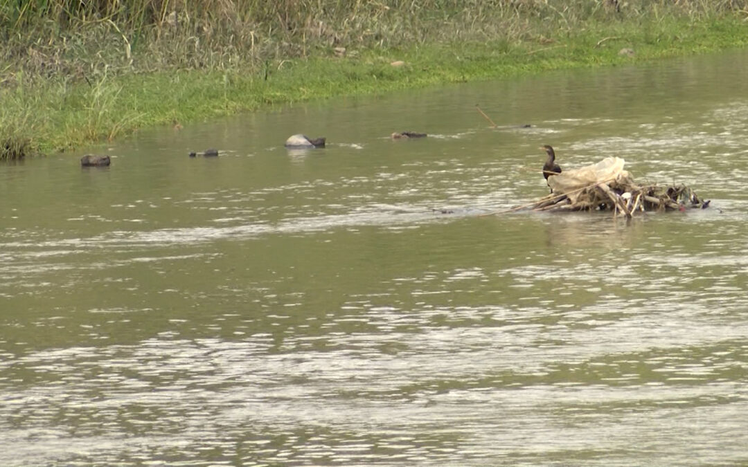  Crisis: El Río Grande en peligro crítico