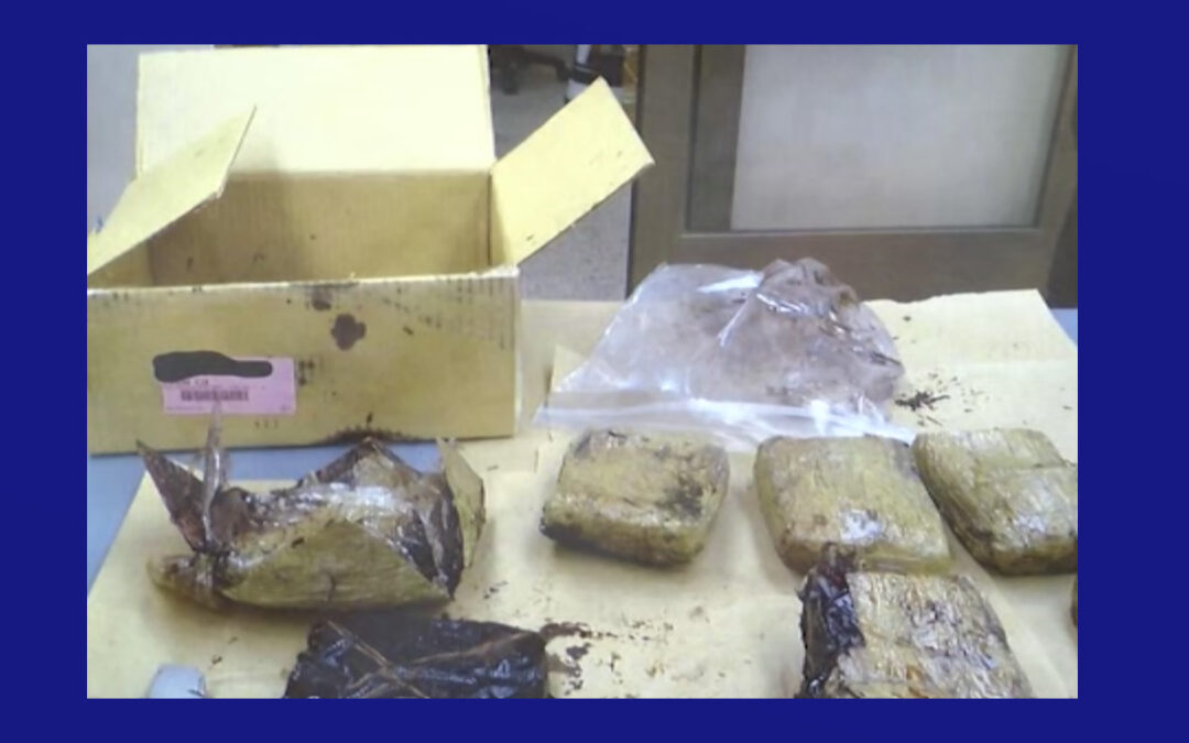 Agencias de la ley toman precauciones durante el decomiso de fentanilo