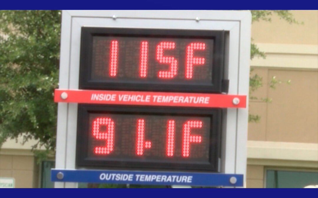 Autoridades enfatizan la importancia de asegurarse no dejar niños o mascotas en un auto desatendido
