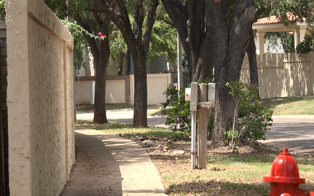 Mujer en Laredo extra 6 muelas sin licencia desde su casa