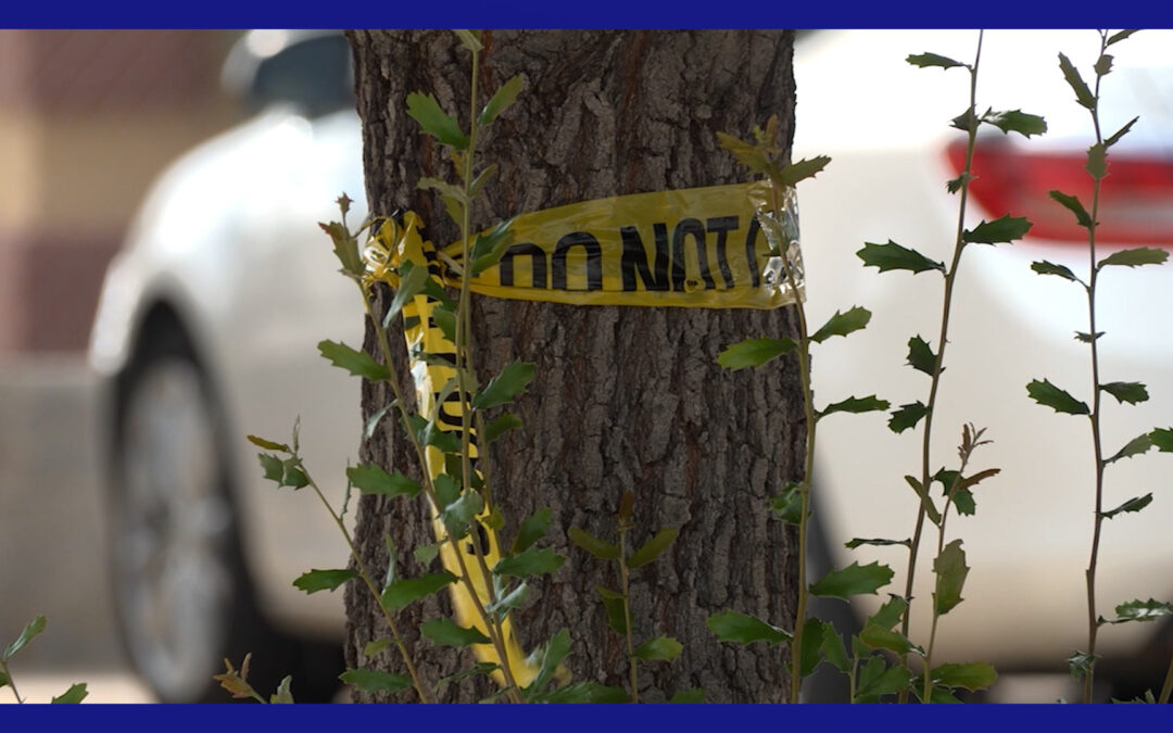 Apuñalan a hombre de 36 años en presunta riña madrugadora en Laredo