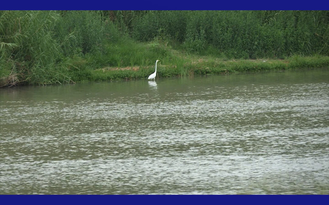 Inundaciones leves en Laredo activan precauciones clave del Departamento de Policía