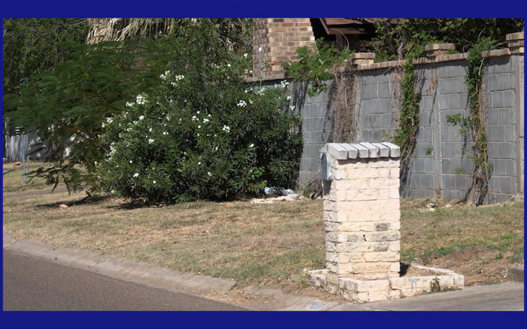  Menores de edad detenidos tras tiroteo en Laredo
