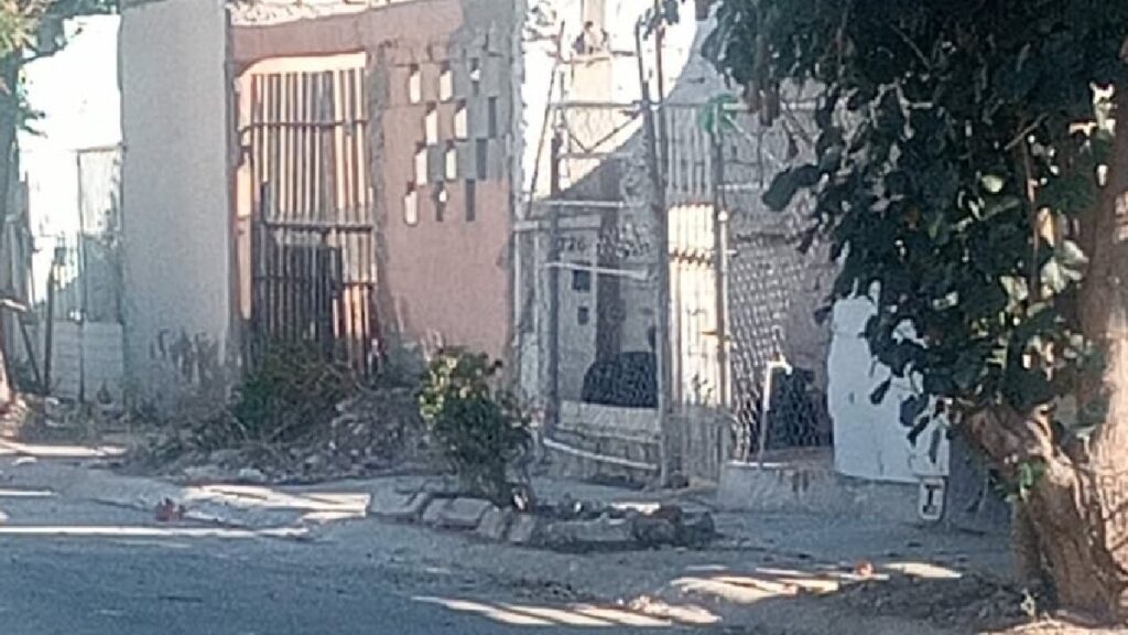 Torreón: Denuncian peligro por perros agresivos y abandono de espacios públicos en Quintas los Nogales