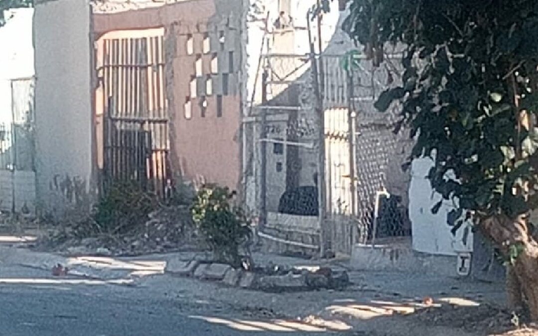 Torreón: Denuncian peligro por perros agresivos y abandono de espacios públicos en Quintas los Nogales