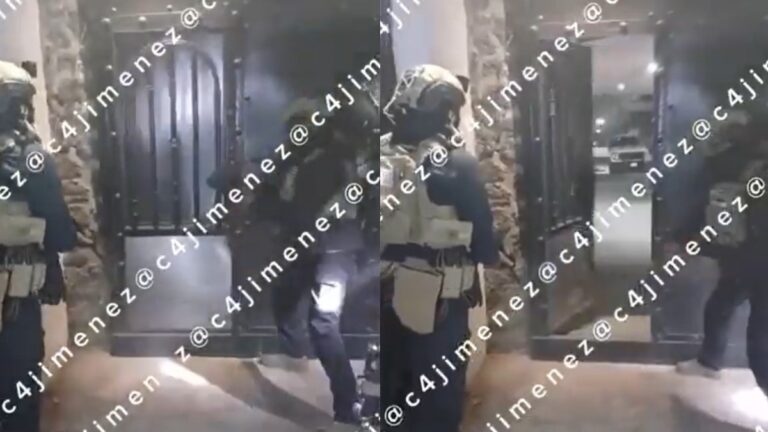 Nacen Perritos en Operativo en Xochimilco: Descubren Armamento y Drogas del Cártel de Sinaloa