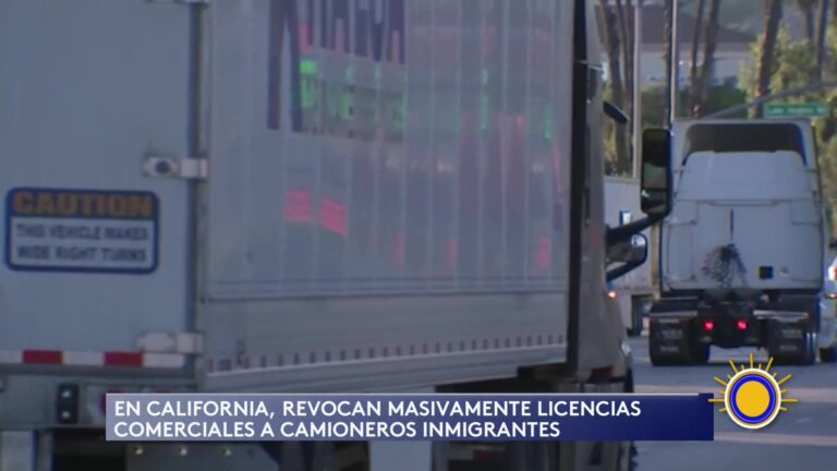 Revocación Masiva De Licencias En California