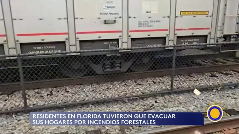 Incendios Forestales En Florida Y Lluvias Torrenciales En California: Estado De Emergencia En Dos Regiones De EEUU