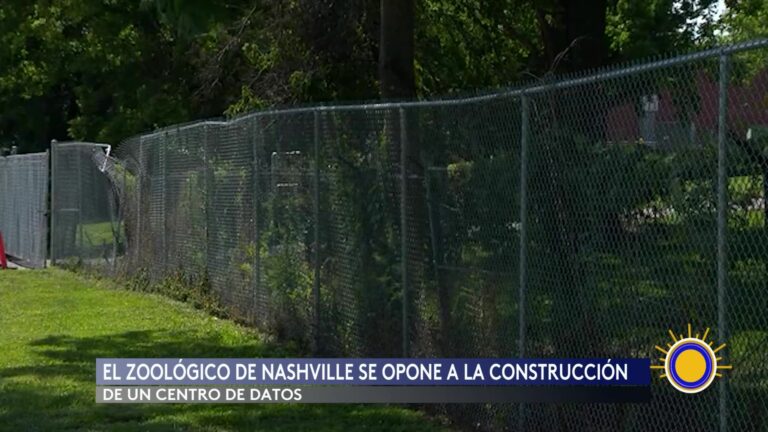 Leopardo Nublado: Leopardos Nublados: Zoológico Y Comunidad Luchan Contra Proyecto Controversial
