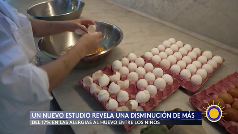 Alergia Al Huevo Disminuye Un 17% En Niños Gracias A Nuevas Guías Infantiles