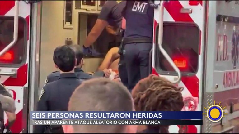 Ataque Con Arma Blanca En Estación PEN De Nueva York Deja Seis Heridos