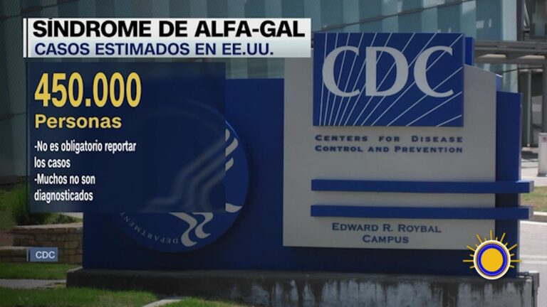 Síndrome De Alfa-Gal: Aumentan Los Casos De Alergia Grave A La Carne Roja Por Picadura De Garrapatas