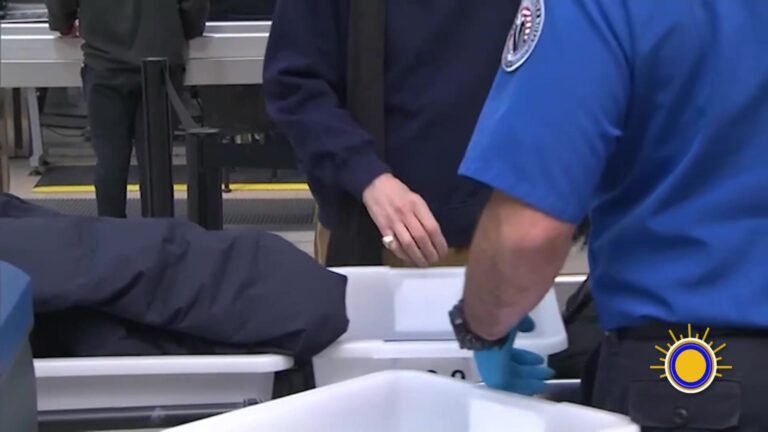 Viajes Del 4 De Julio: TSA Espera Récord De 19 Millones De Pasajeros